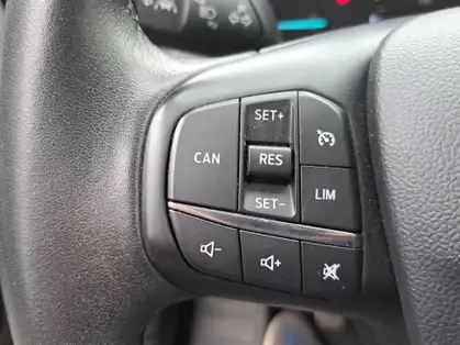 FORD FOCUS TRED BUSINESS 1.5 EcoBlue 95 CV BVM 