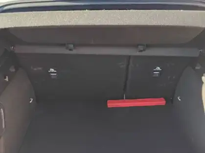 FORD FOCUS ACTIVE ST LINE X 1.5 EcoBlue 115 CV Powershift