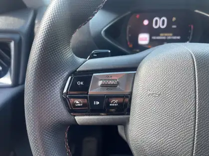 DS DS 3 PERFORMANCE LINE BlueHDi 130 CV EAT8 