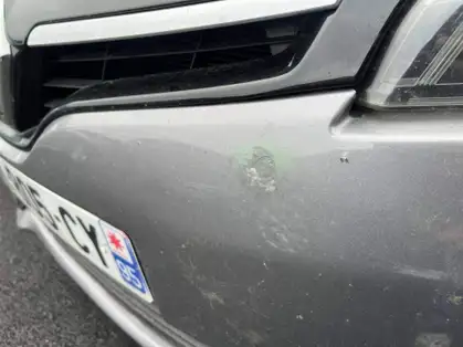 RENAULT GRAND SCENIC III dCi 110 Energy eco2 Business 7 pl