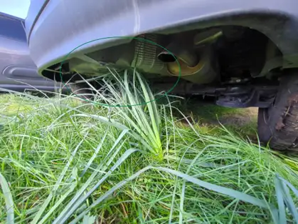 CITROEN C3 PLUS 1.2 PureTech 83 CV BVM5 