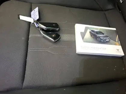 CUPRA FORMENTOR BUSINESS EDITION 1.5 TSI 150 CV DSG