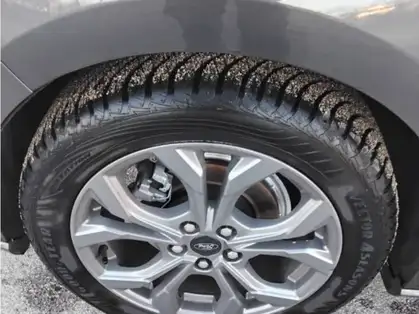 FORD FOCUS ACTIVE ST LINE X 1.5 EcoBlue 115 CV Powershift