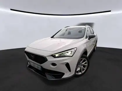 CUPRA FORMENTOR BUSINESS EDITION 2.0 TDI 150 CV BVM6