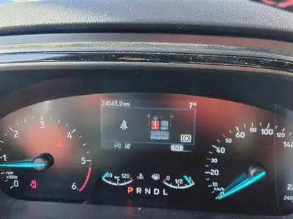 FORD FOCUS ACTIVE ST LINE X 1.5 EcoBlue 115 CV Powershift