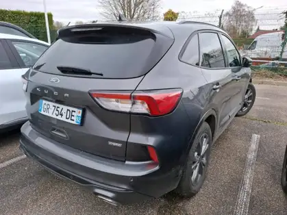 FORD KUGA ST  LINE 2.5 Duratec 190 CV FlexiFuel FHEV E85 Powershift 