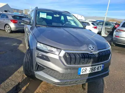 SKODA KAROQ BUSINESS 2.0 TDI 116 CV SCR DSG7