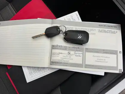 CITROEN C3 AIRCROSS SHINE 1.2 PURETECH 110 CV BVM 