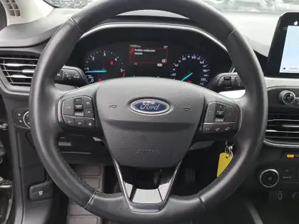 FORD FOCUS TRED BUSINESS 1.5 EcoBlue 95 CV BVM 