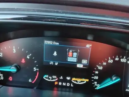 FORD FOCUS ACTIVE ST LINE X 1.5 EcoBlue 115 CV Powershift