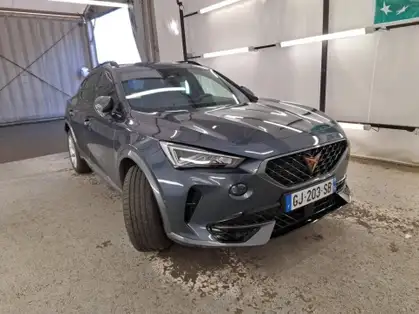 CUPRA FORMENTOR BUSINESS EDITION 2.0 TDI 150 CV BVM6