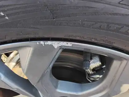 FORD FOCUS ACTIVE ST LINE X 1.5 EcoBlue 115 CV Powershift