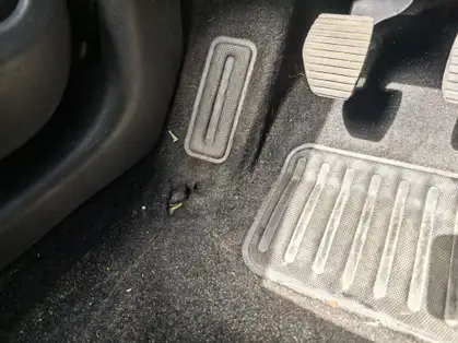 CITROEN C4 CACTUS SHINE PureTech 110 CV BVM