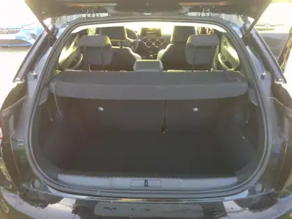 DS DS 3 PureTech 100 BVM6 Performance Line