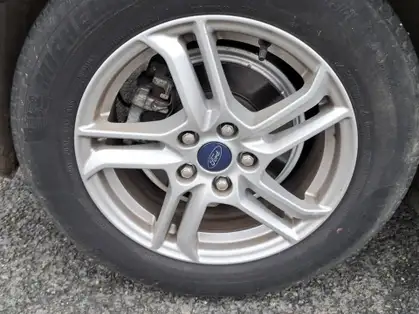 FORD FOCUS TRED BUSINESS 1.5 EcoBlue 95 CV BVM 