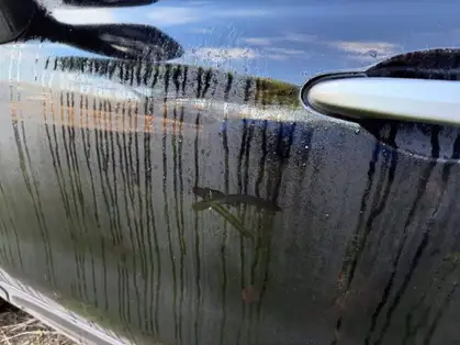 FIAT 500X MY19 MY19 CITY CROSS BUSINESS 1.3 FireFly Turbo T4 150 CV DCT 