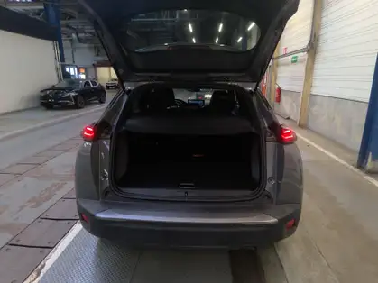 PEUGEOT 2008 ALLURE PURETECH 100 CV BVM6
