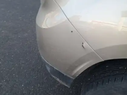 DACIA DUSTER DUSTER 4X2 CONFORT 1.5 BLUEDCI 115 CV BVM6 