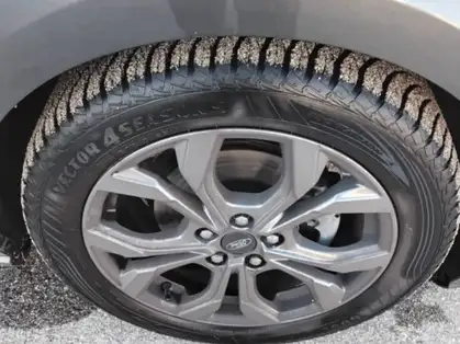 FORD FOCUS ACTIVE ST LINE X 1.5 EcoBlue 115 CV Powershift