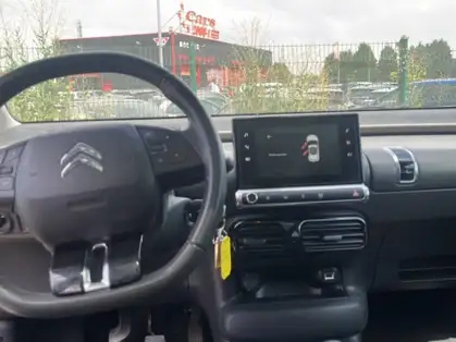 CITROEN C4 CACTUS PureTech 110 S&S BVM Feel Business