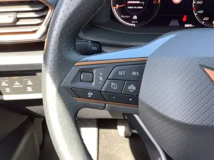 CUPRA FORMENTOR BUSINESS EDITION 2.0 TDI 150 CV BVM6