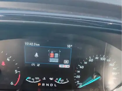 FORD FOCUS ACTIVE ST LINE X 1.5 EcoBlue 115 CV Powershift