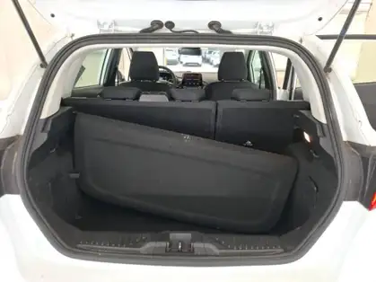 FORD FIESTA CONNECT BUSINESS 1.1 75 CV BVM5