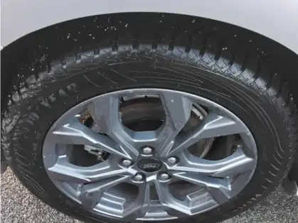 FORD FOCUS ACTIVE ST LINE X 1.5 EcoBlue 115 CV Powershift