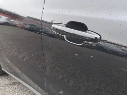 FORD FOCUS TRED BUSINESS 1.5 EcoBlue 95 CV BVM 