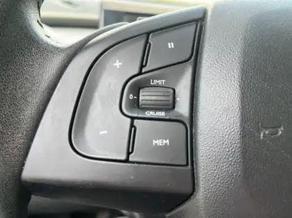 CITROEN C4 CACTUS PureTech 110 S&S BVM Feel Business