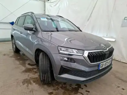 SKODA KAROQ BUSINESS 2.0 TDI 116 CV SCR DSG7